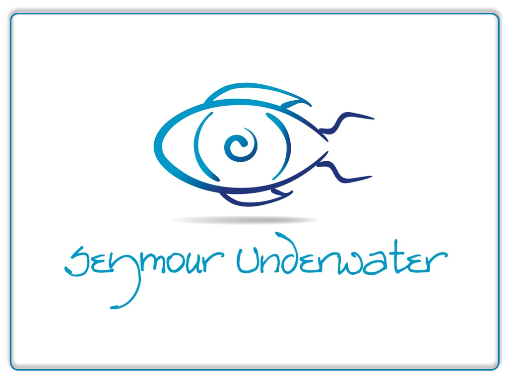 Seymour Underwater